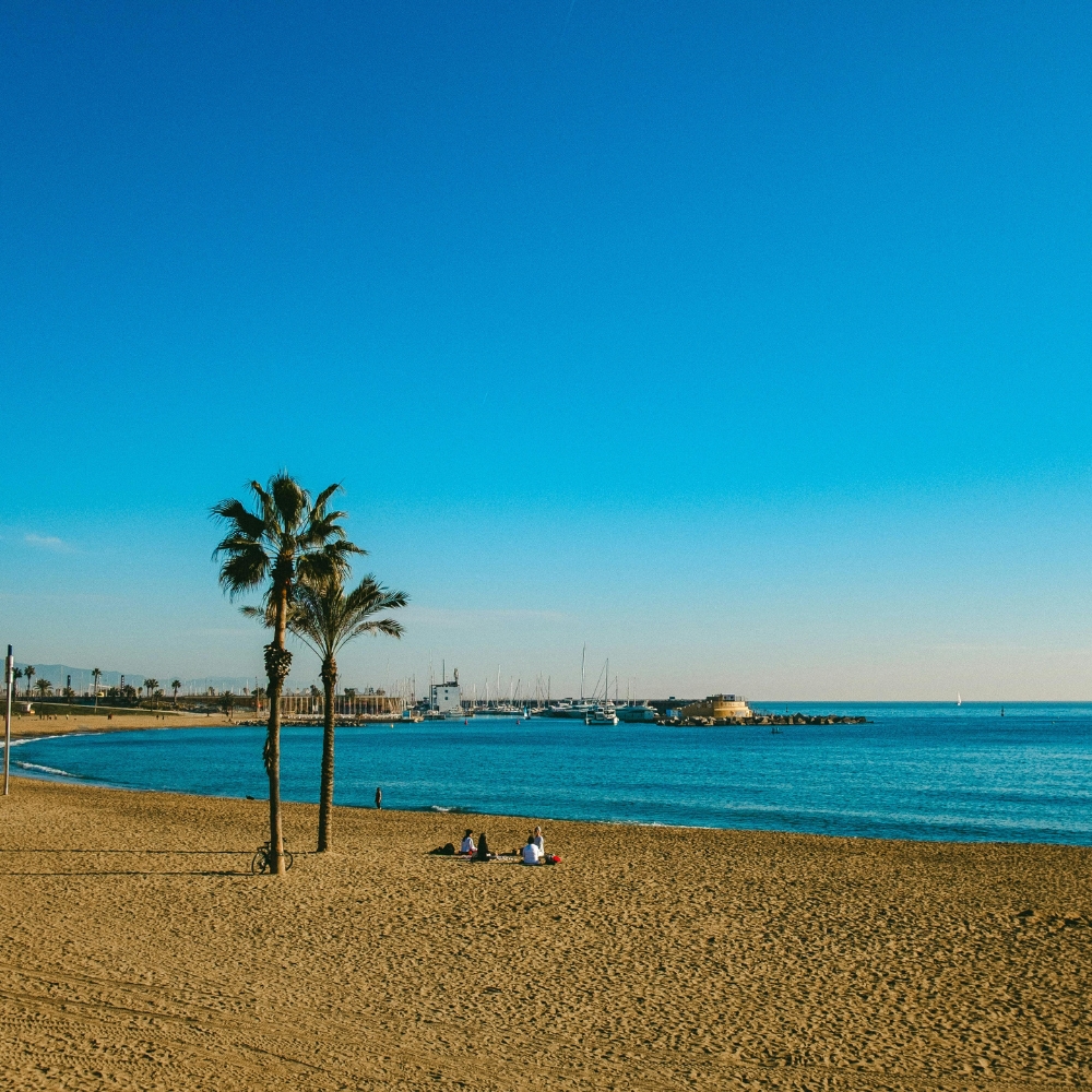 Barceloneta Beach LARGE