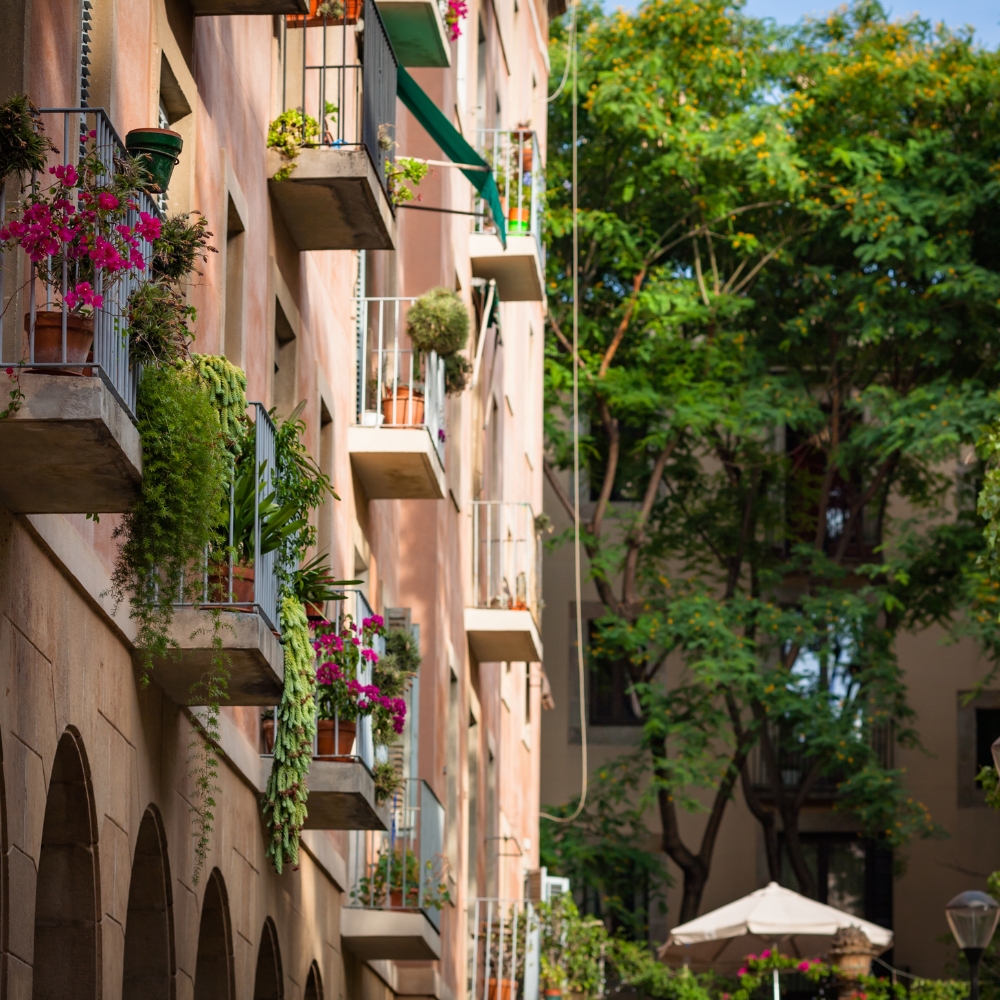 El Raval Neighborhood